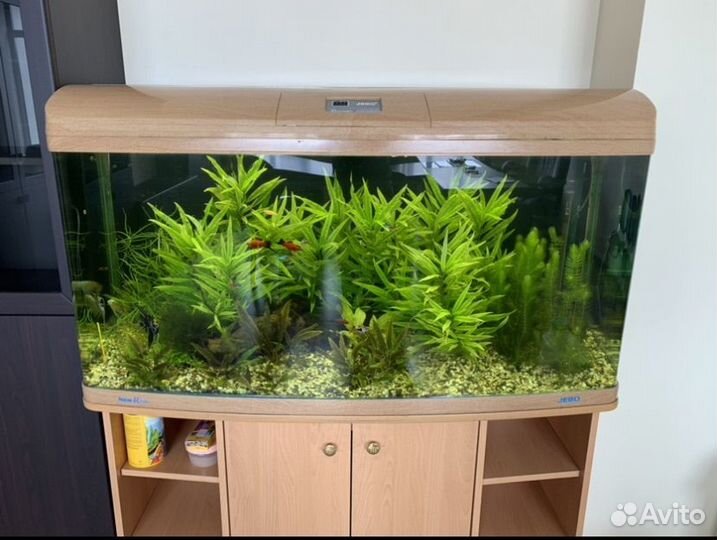 Обслуживание аквариумов