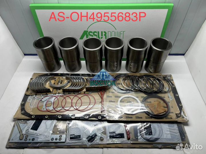 Набор для ремонта (ISX1 ISX2) Cummins (assur powe