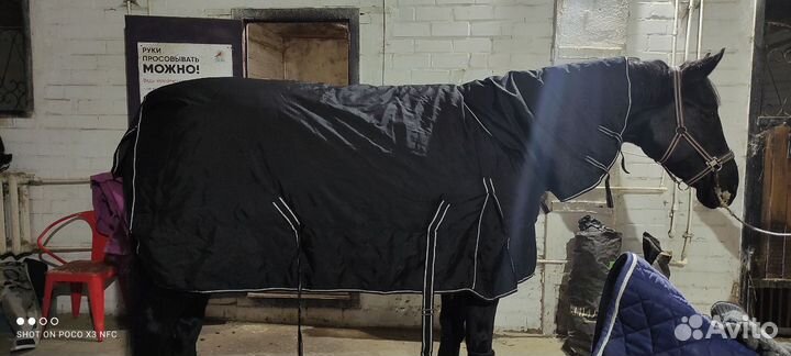 Попона зимняя для лошади