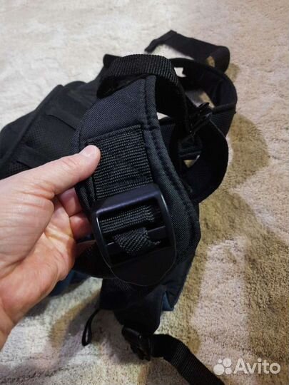 Кенгуру мазекея