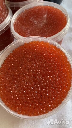 Красная икра 2023