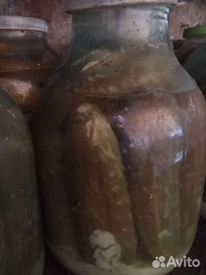 Огурцы и перец бочковые