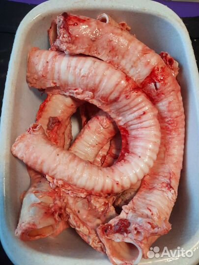 Говядина/курица на корм собакам/кошкам