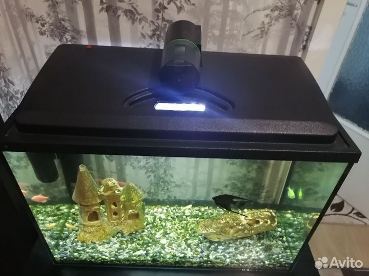 Аквариум