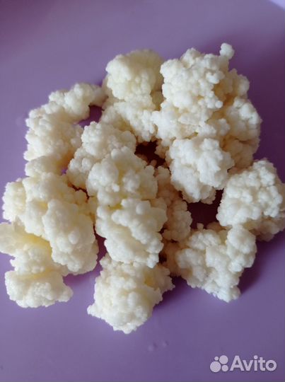 Тибетский молочный гриб