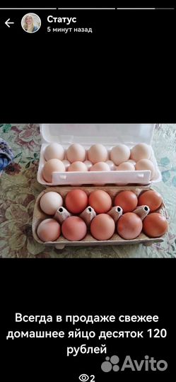 Продукты питания