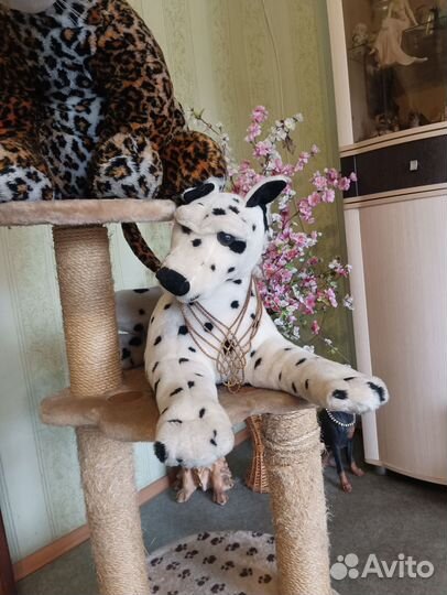 Когтеточка домик для кошки бесплатно