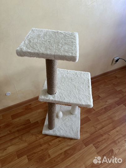 Когтеточка