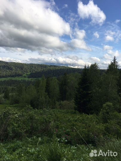 Красная гора. Автоэкскурсии, автотуры Алтай