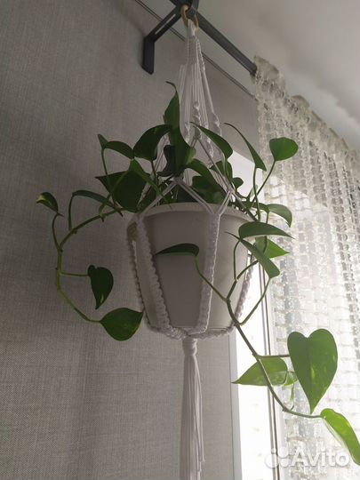 Кашпо подвесное