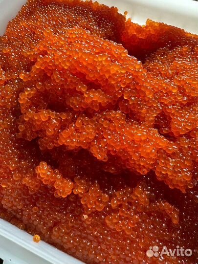 Икра Красная Кеты 2024