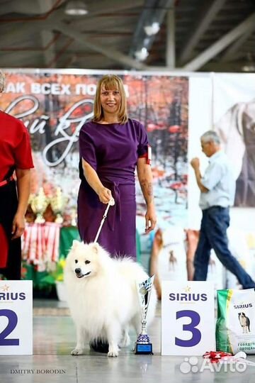 Вязка кабеля