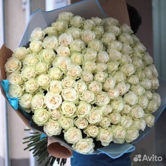 Розы белые 31 роза 51 роза 101 роза
