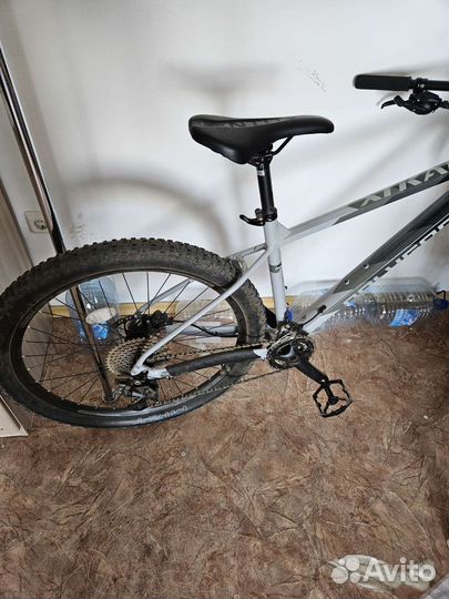 Polygon xtrada 5 2022