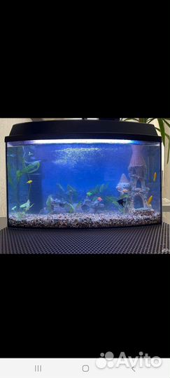 Аквариум с рыбками