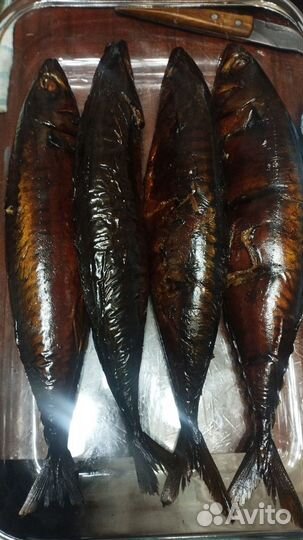 Рыба горячего копчения