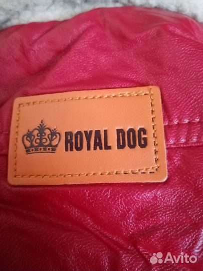 Одежда для маленьких пород собак