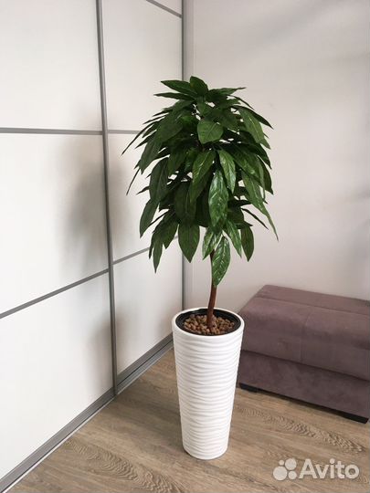 Искусственные растения манго папоротник фикус
