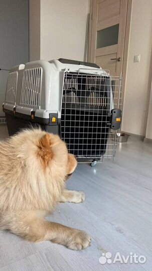 Переноска Scudo 6 (63*92*70 см)