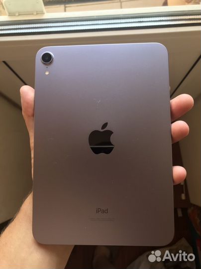 iPad mini 6 purple