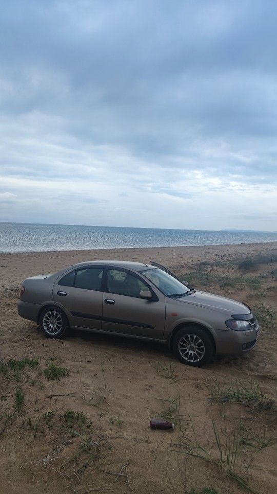 Nissan Almera: фото владельца