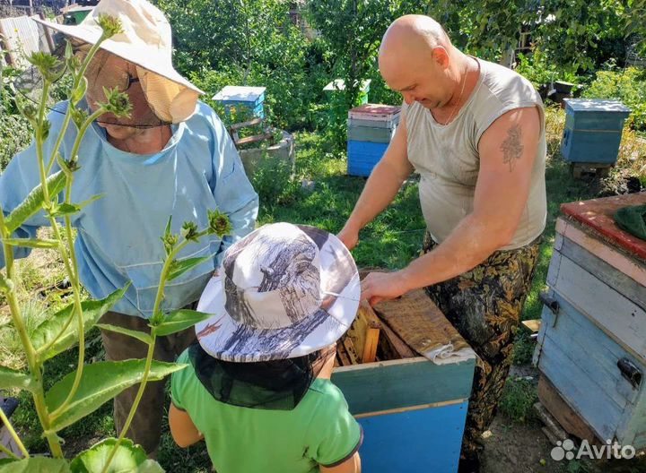 Натуральный мед 2023