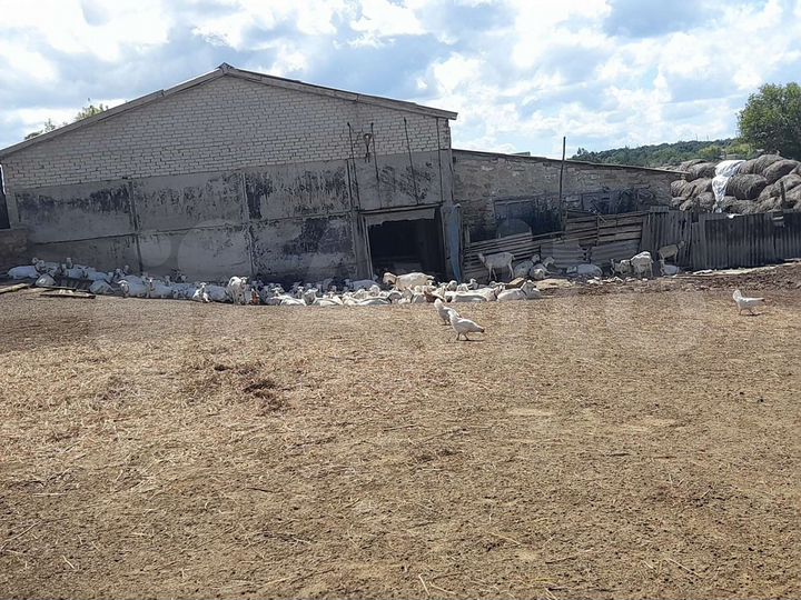 Участок 33,2 га (СНТ, ДНП)