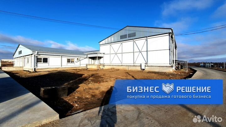 Рыбное производство доля 50