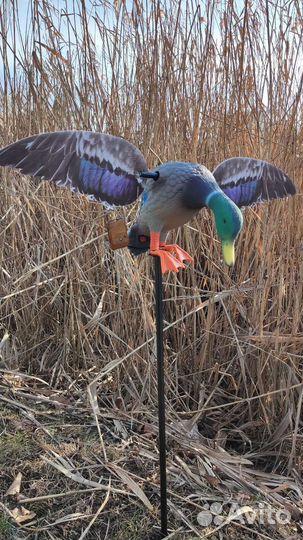 Махокрыл электромеханический Чучело утки