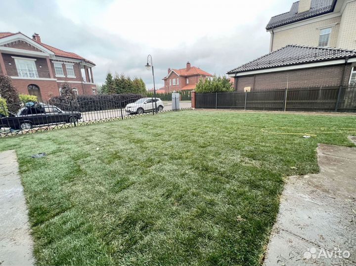 Рулонный газон