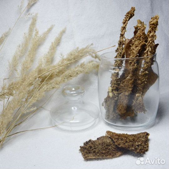 Лакомства для собак