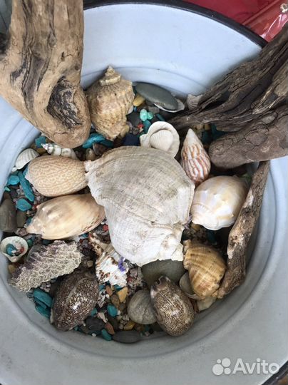 Камни в аквариум(гравий)