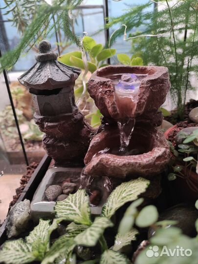 Флорариум с фонтаном