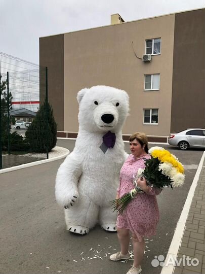 Белый Мишка. Аниматор