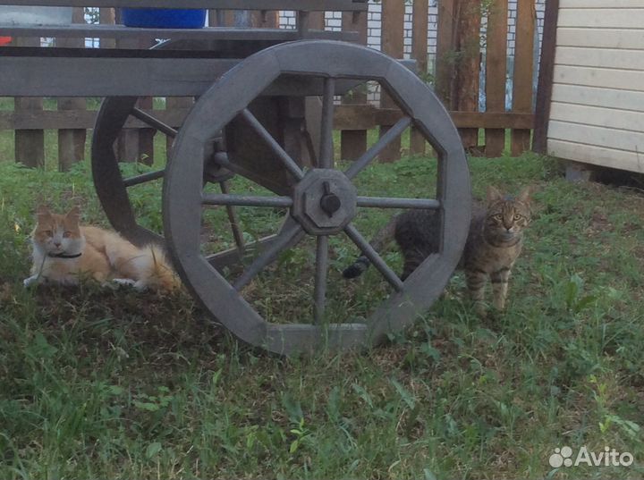 Деревянная арба