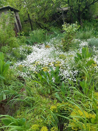 Участок 13 сот. (ИЖС)