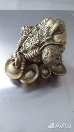 Китайская трёхлапая жаба