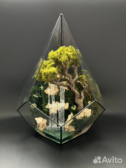 Флорариум(моссариум)