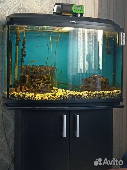 Аквариум