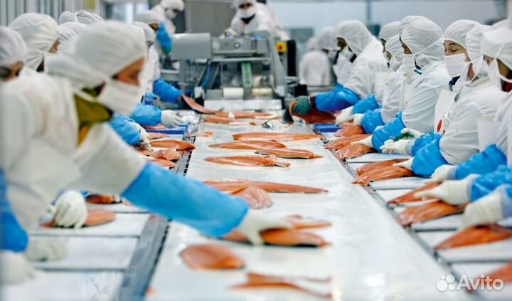 Разнорабочий вахтой в Вязьме