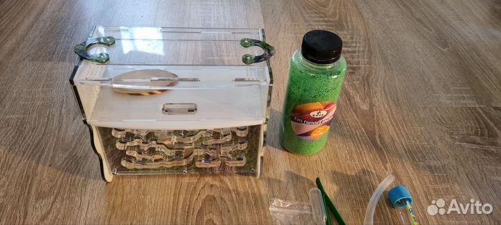 Муравьиная ферма Mr. Ant вертикальная