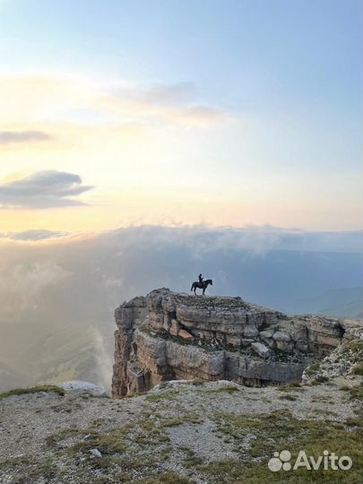 Конные прогулки