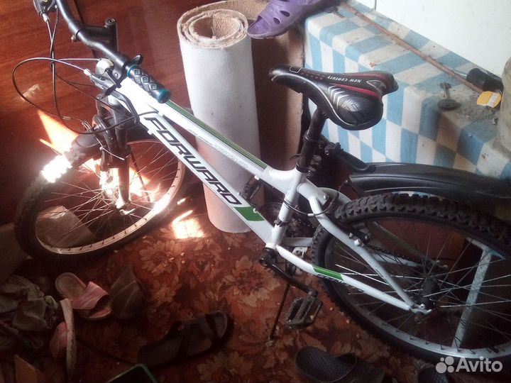 Форвард титан 24