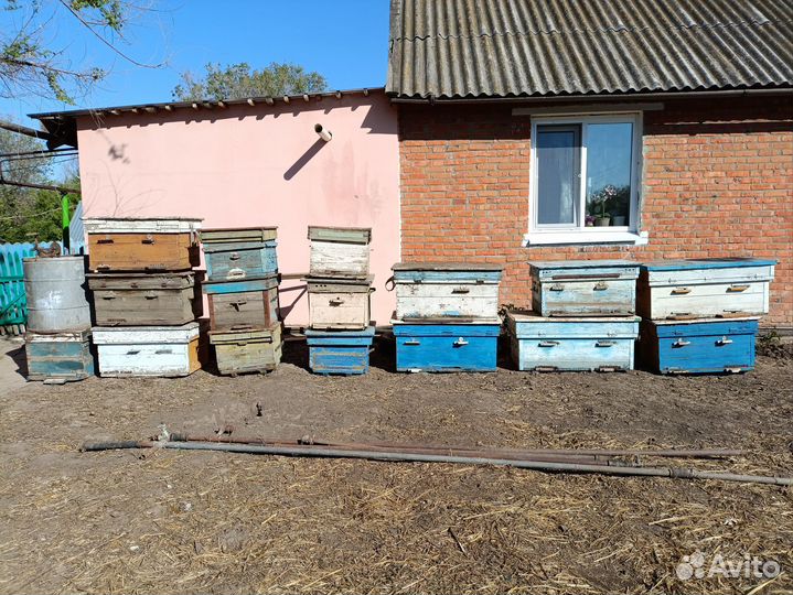 Продам ульи для пчел