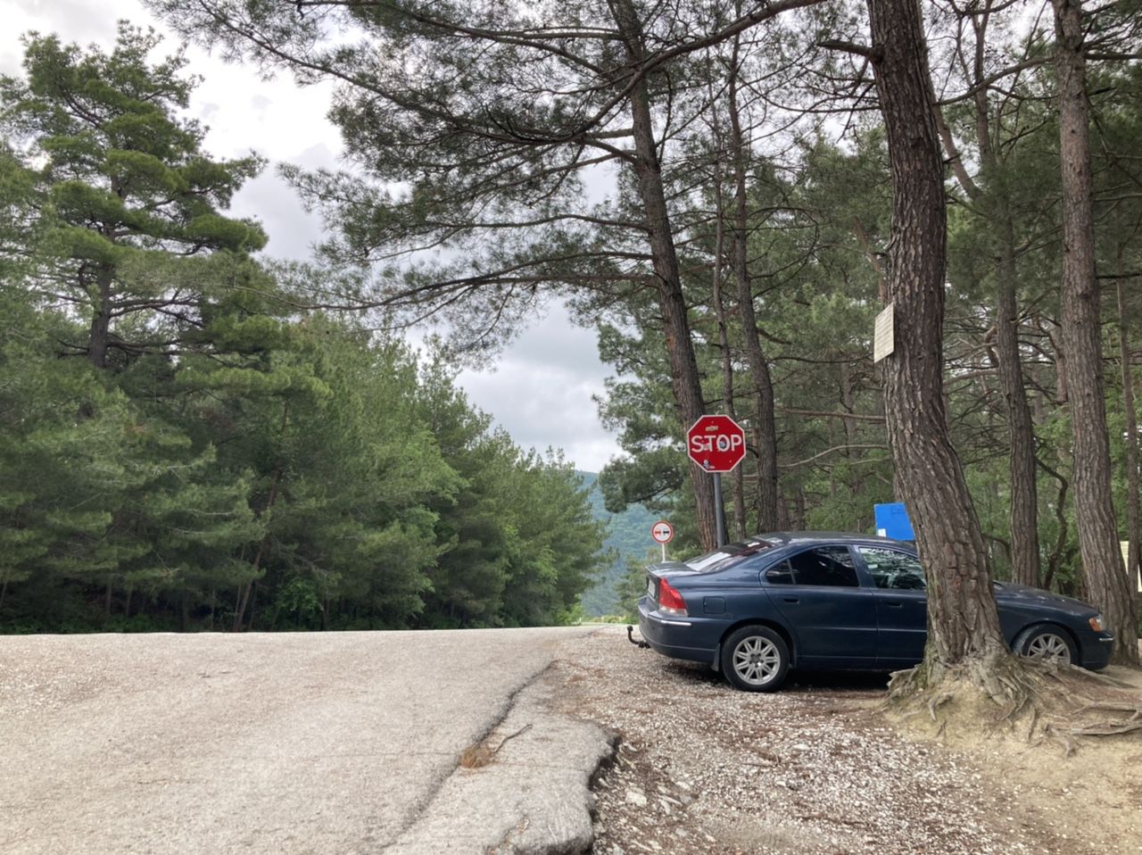 Volvo S60: фото владельца