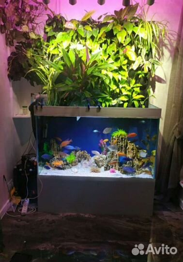 Аквариум на заказ