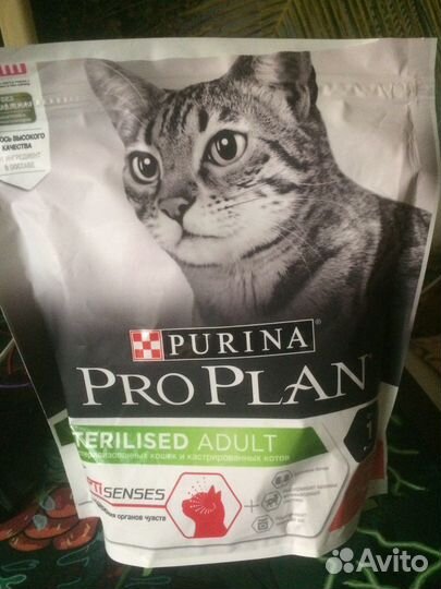 Корм для кастрированных котов