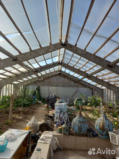 Продаётся действующая ферма со швицкими коровами