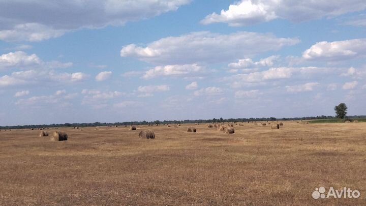 Сено рулонное