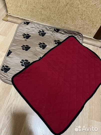 Автокормушка